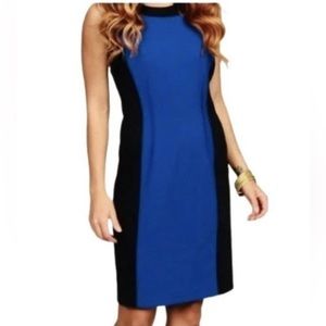 Calvin Klein Fitted Sheath Sleeveless with Stretch Dress